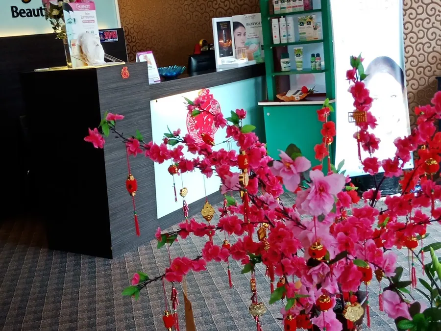 Amy Chia Beauty Spa